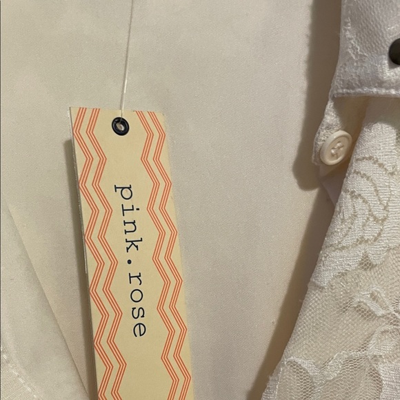 Sleeveless Lace Dress with Collar - Picture 3 of 7